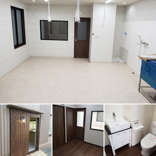 トリミングショップ ワンきゅう